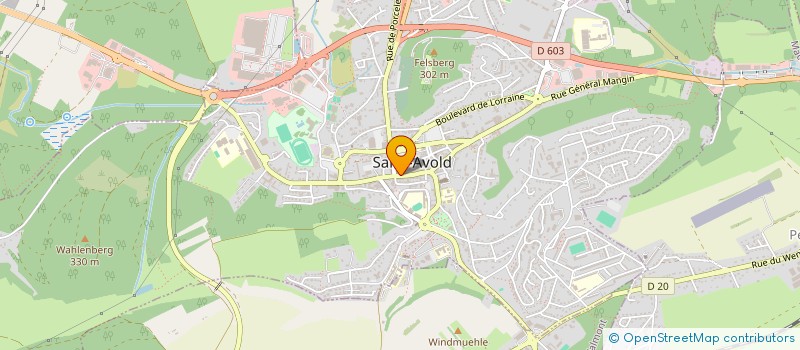 localisation de l'entreprise SCI RAPHAEL  SAINT-AVOLD