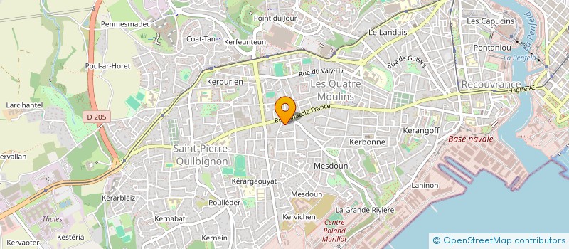 localisation de l'entreprise SCI RED MONKEY  BREST