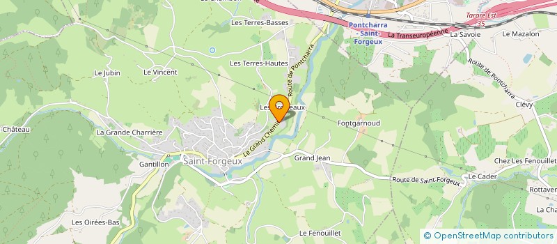 localisation de l'entreprise SCI RIAUX MENUT  SAINT-FORGEUX