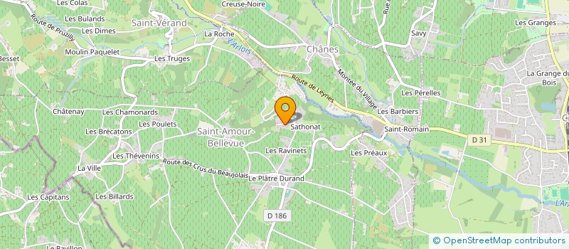 localisation de l'entreprise SCI RICHARD  SAINT-AMOUR-BELLEVUE