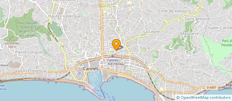 localisation de l'entreprise SCI ROC FLEURI à CANNES
