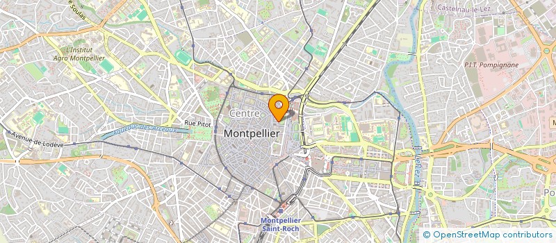 localisation de l'entreprise SCI ROSE CUT à MONTPELLIER