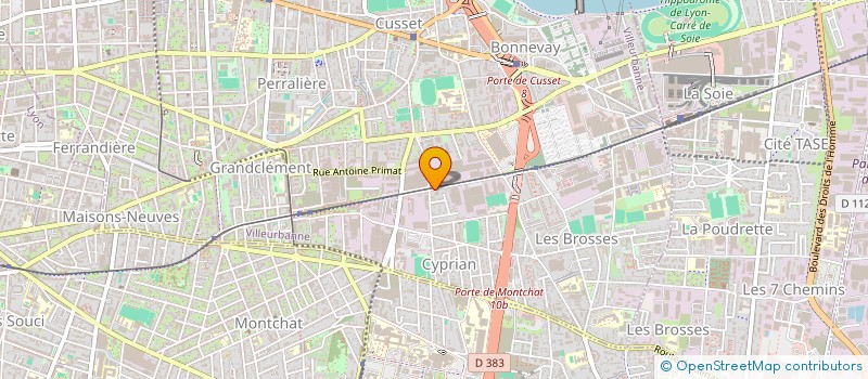 localisation de l'entreprise SCI S.ANOUCH  DECINES-CHARPIEU