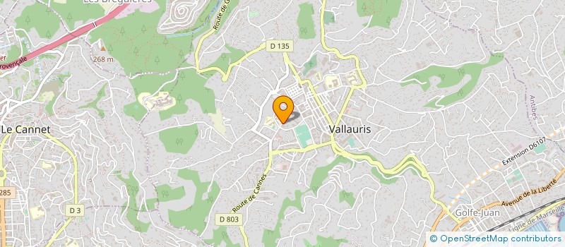 localisation de l'entreprise SCI S K à VALLAURIS