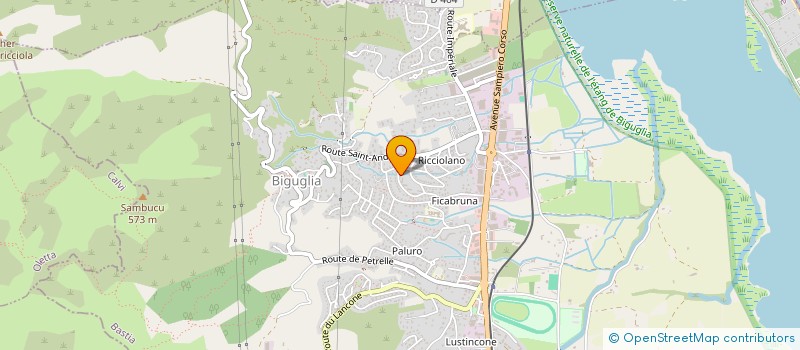 localisation de l'entreprise SCI SAINT MATHIEU à BIGUGLIA