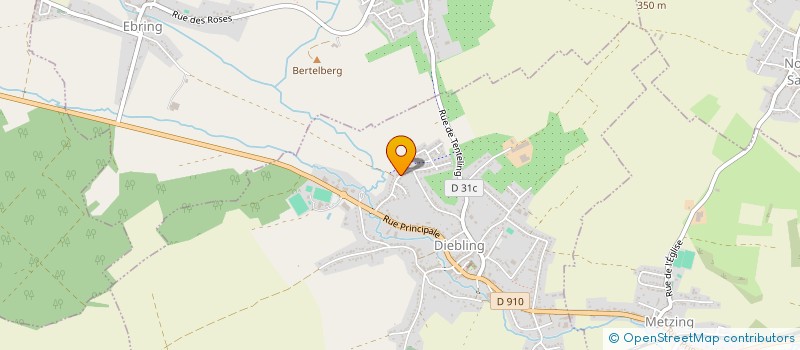 localisation de l'entreprise SCI SAINT WENDELIN  DIEBLING