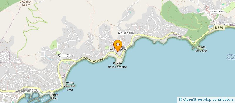 localisation de l'entreprise SCI SCITER à LE LAVANDOU