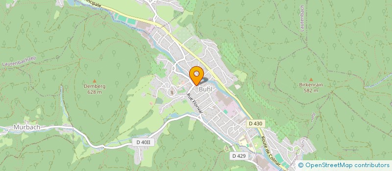 localisation de l'entreprise SCI STEIN FAMILY  BUHL