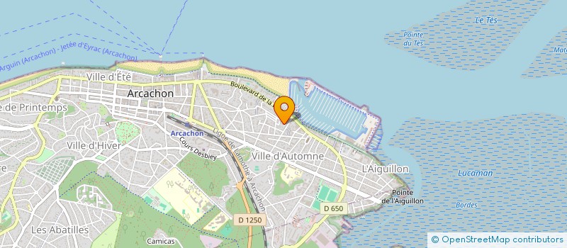 localisation de l'entreprise SCI T.O.H.  ARCACHON