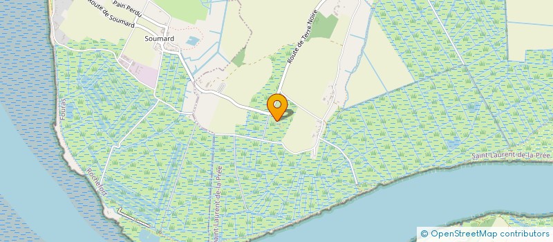 localisation de l'entreprise SCI TERRE NOIRE 17  SAINT-LAURENT-DE-LA-PREE