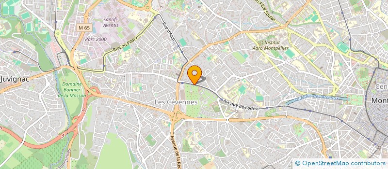 localisation de l'entreprise SCI THAMARA à MONTPELLIER