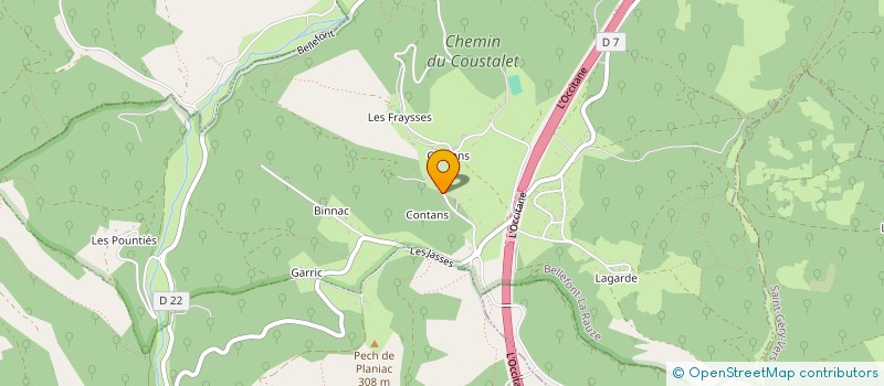 localisation de l'entreprise SCI THE LOVE FARM  BELLEFONT-LA RAUZE