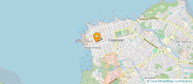 localisation de l'entreprise SCI THERESE  CAYENNE