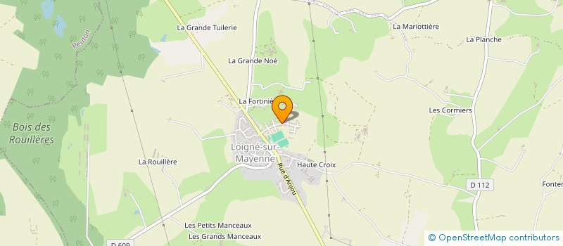 localisation de l'entreprise SCI TMG  LA ROCHE-NEUVILLE