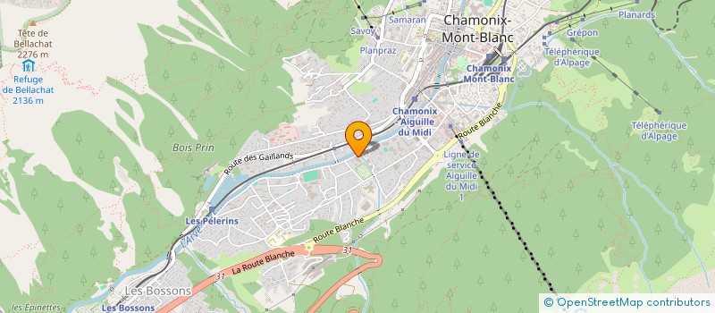 localisation de l'entreprise SCI TRE MEZZO à CHAMONIX-MONT-BLANC