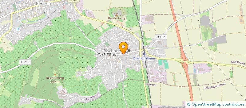 localisation de l'entreprise SCI TREIBER FAMILY  BISCHOFFSHEIM