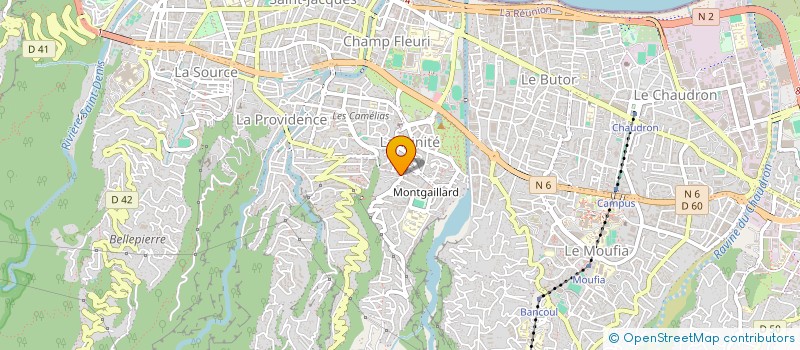 localisation de l'entreprise SCI TRINITE-MONTGAILLARD à SAINT-DENIS