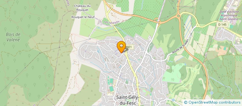 localisation de l'entreprise SCI TURGIM  SAINT-GELY-DU-FESC