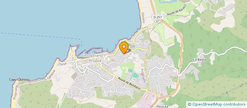 localisation de l'entreprise SCI VALINCO-MANCINU  PROPRIANO