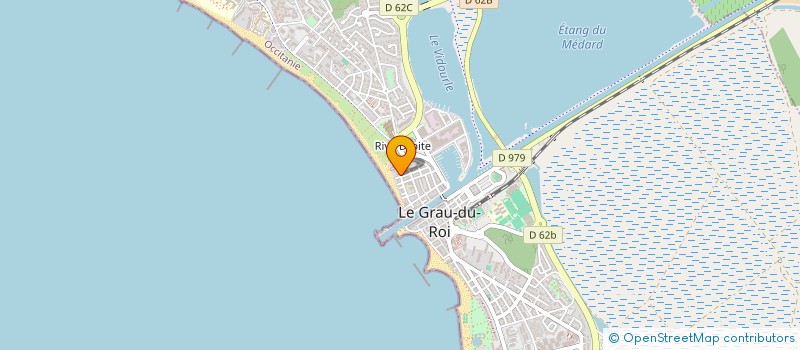 localisation de l'entreprise SCI VIETTI-VIOLI  LE GRAU-DU-ROI