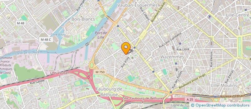 localisation de l'entreprise SCI VILLA FLORE à LILLE