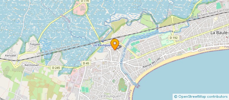 localisation de l'entreprise SCI VLADI AND CO  LE POULIGUEN