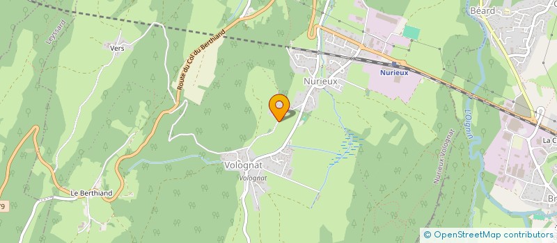 localisation de l'entreprise SCIERIE DALY  NURIEUX-VOLOGNAT