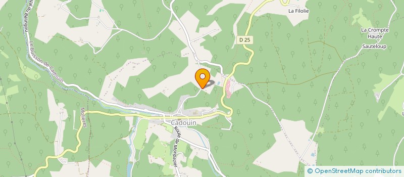 localisation de l'entreprise SCIERIE DES CANTAYSSES  LE BUISSON-DE-CADOUIN