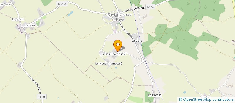 localisation de l'entreprise SCIGP NMSM  SAVIGNY SOUS FAYE