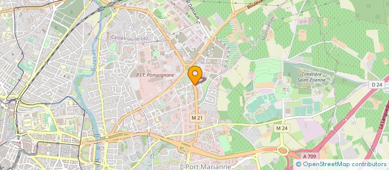 localisation de l'entreprise SCM ANANKHE à MONTPELLIER