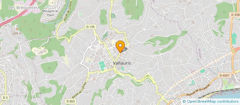localisation de l'entreprise SCM BAPELLE-HOBEIKA à VALLAURIS