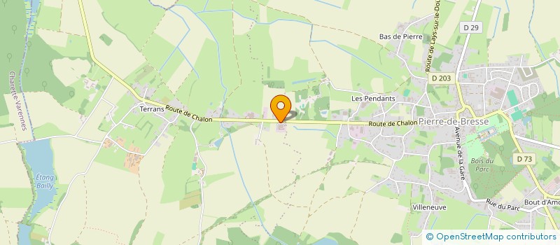 localisation de l'entreprise SCM CABINET INFIRMIER DE PIERRE DE BRESSE à PIERRE-DE-BRESSE