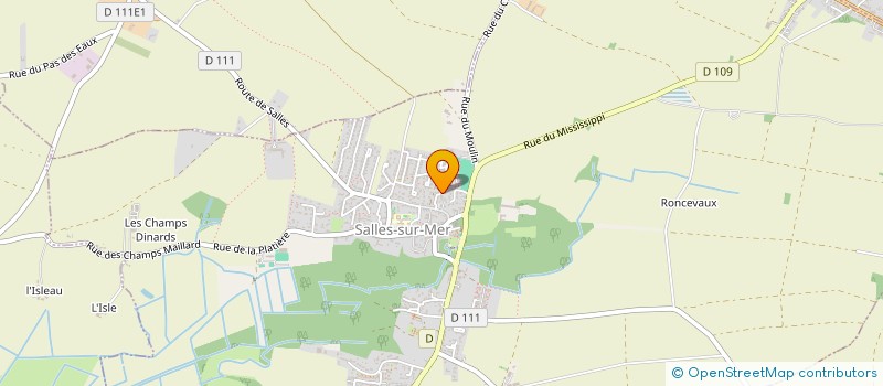 localisation de l'entreprise SCM CABINET MEDICAL DES FLEURETS  SALLES-SUR-MER