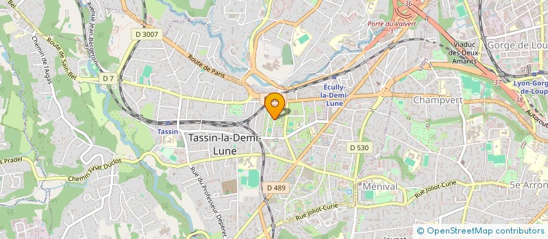 localisation de l'entreprise SCM CFLM  TASSIN-LA-DEMI-LUNE