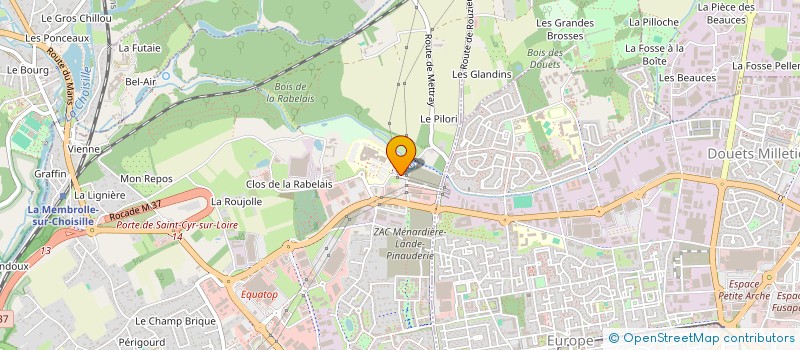 localisation de l'entreprise SCM DE CHIRURGIE PLASTIQUE DES DOCTEURS RICCI ET QUIGNON à SAINT-CYR-SUR-LOIRE