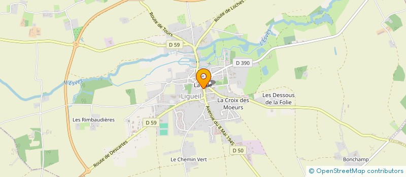 localisation de l'entreprise SCM DENTAIRE LIGUEIL  LIGUEIL