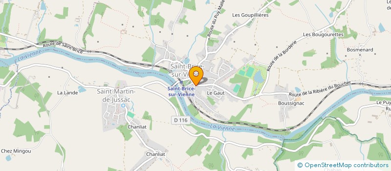 localisation de l'entreprise SCM DES DOCTEURS BOURLOIS KWASSY GUEDON  SAINT-BRICE-SUR-VIENNE