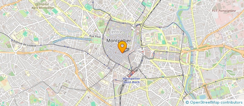 localisation de l'entreprise SCM DES DOCTEURS EGOUMENIDES RABANUS à MONTPELLIER