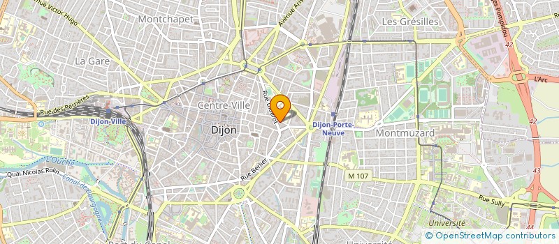 localisation de l'entreprise SCM DES DOCTEURS MARTIN & REYMOND à DIJON