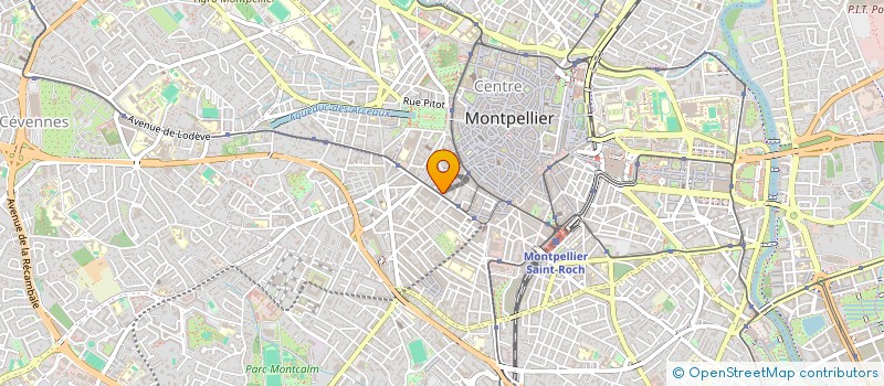 localisation de l'entreprise SCM DES DOCTEURS NICOLAS ET ANXIONNAT à MONTPELLIER