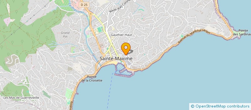 localisation de l'entreprise SCM DES DOCTEURS STEIN ET LE DU à GASSIN