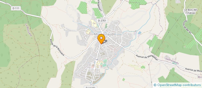 localisation de l'entreprise SCM DES MARRONNIERS  MONTARNAUD