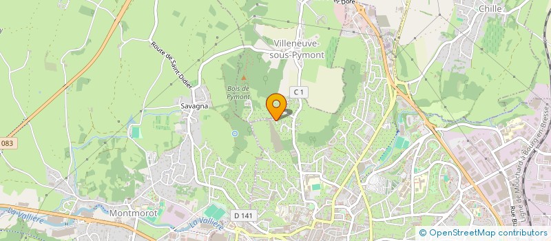 localisation de l'entreprise SCM DES MEDECINS DE BAVERANS  LONS-LE-SAUNIER