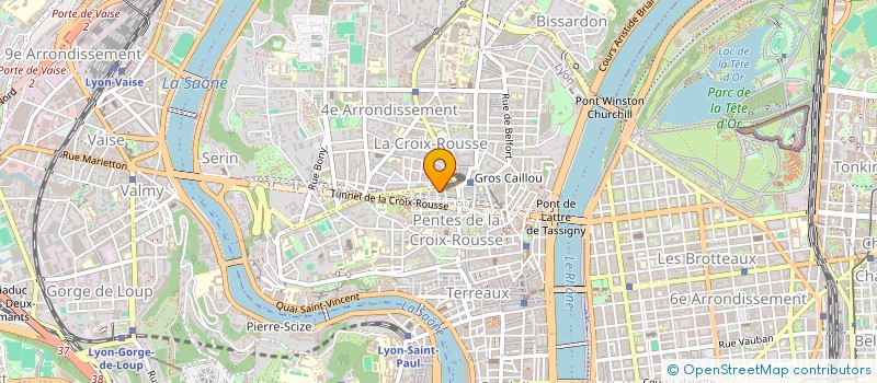 localisation de l'entreprise SCM DES ORL DU PLATEAU à LYON