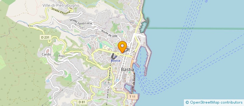 localisation de l'entreprise SCM DOCTEURS GABRIELLI ET VELLUTINI à BASTIA