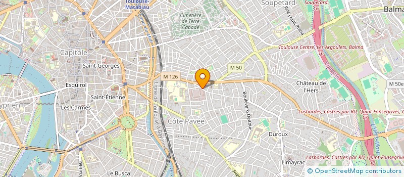 localisation de l'entreprise SCM DU 15 AV RAYMOND NAVES à TOULOUSE