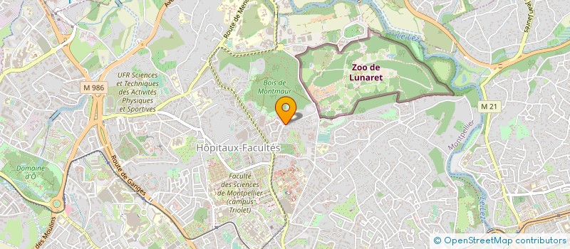 localisation de l'entreprise SCM HOLTER à MONTPELLIER