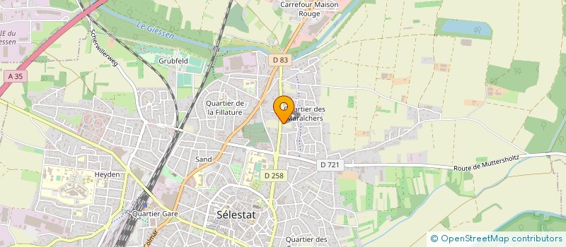 localisation de l'entreprise SCM KINE BALNEO SELESTAT  SELESTAT