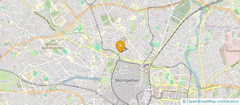 localisation de l'entreprise SCM LES SALES GOSSES TATOUAGE à MONTPELLIER