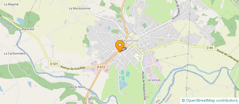 localisation de l'entreprise SCM MAISON MEDICALE HENRI DUNANT  REALMONT